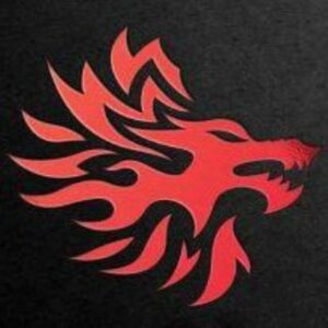 WOLF X 1 DAY